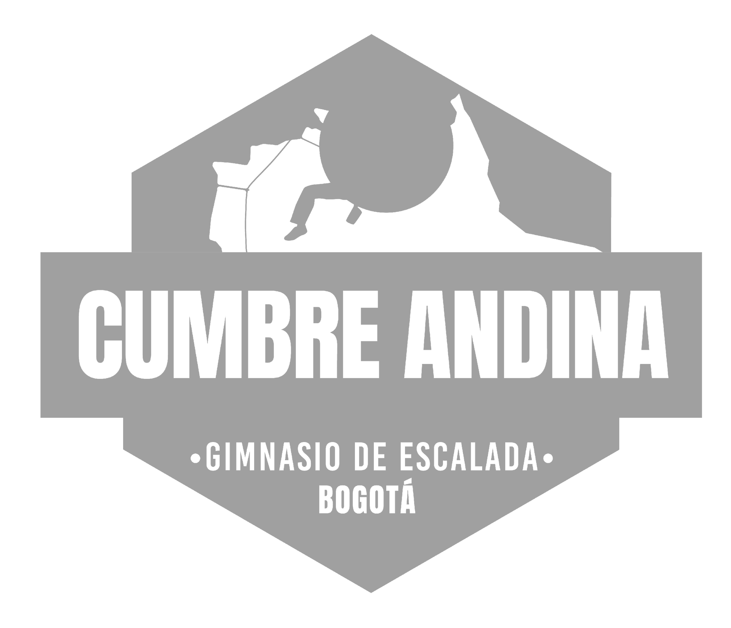 Cumbre Andina